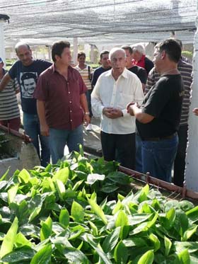 Durante il percorso, Machado Ventura  ha dialogato con gli specialisti della biofabbrica sulla produzione delle Vitropiante.  